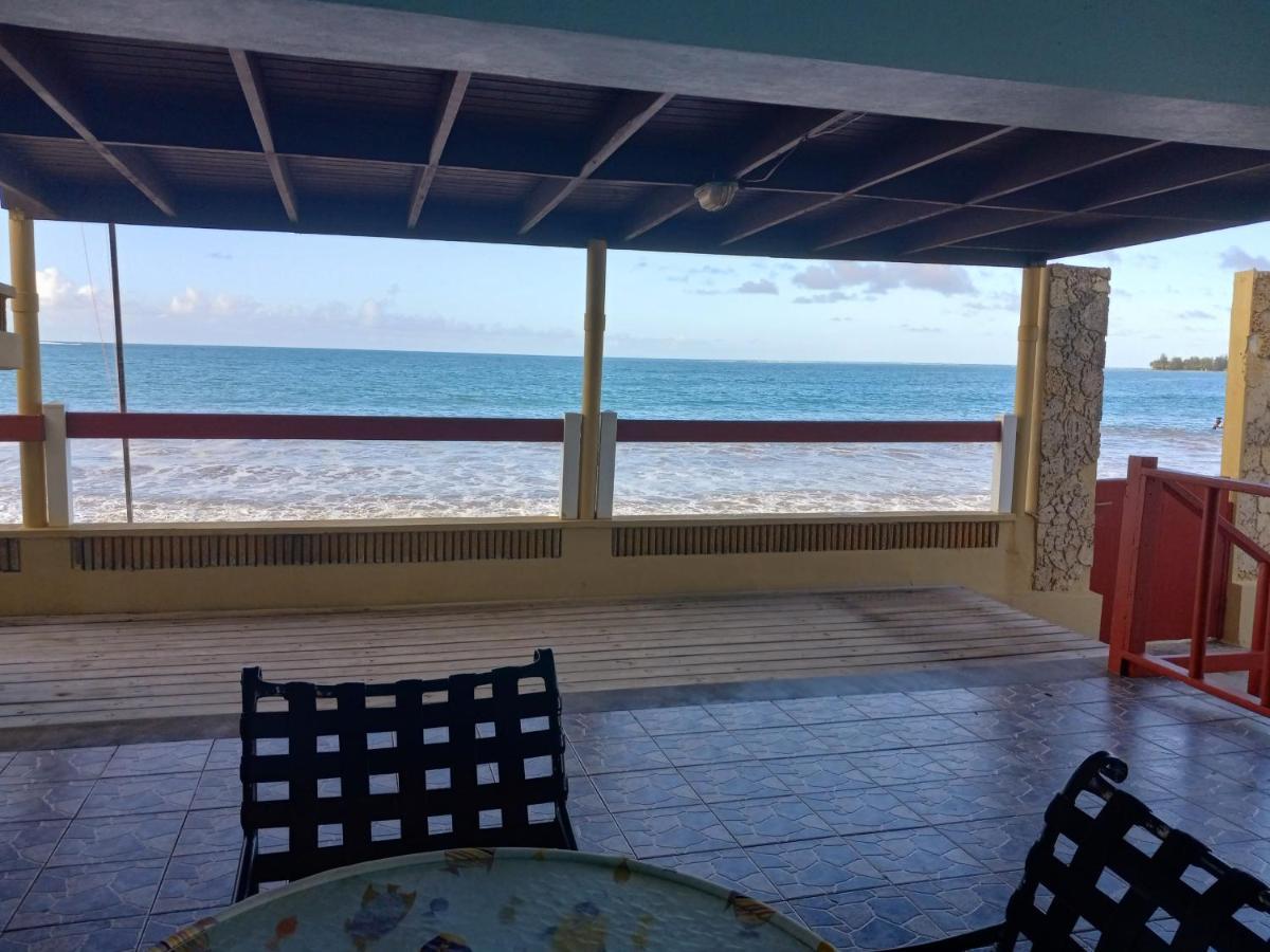 Selva Boutique Hotel - Luquillo Oceanfront Retreat - Adults Only Dış mekan fotoğraf
