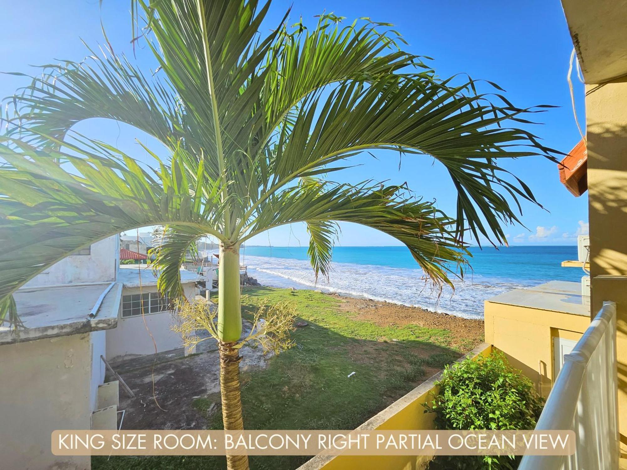 Selva Boutique Hotel - Luquillo Oceanfront Retreat - Adults Only Dış mekan fotoğraf